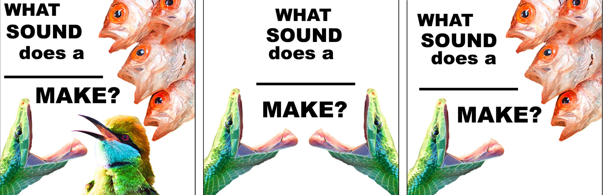 three logos that all say "what sound does a ___ make" with various images of snakes and fish and birds