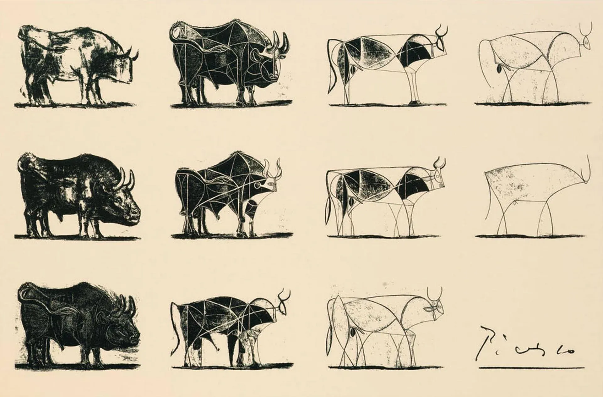 A series of 11 illustrations of a bull, in side profile, of various levels of detail and abstraction.