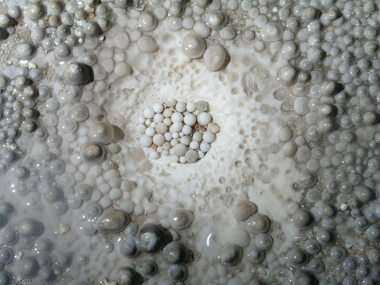 a small group of white stones in water