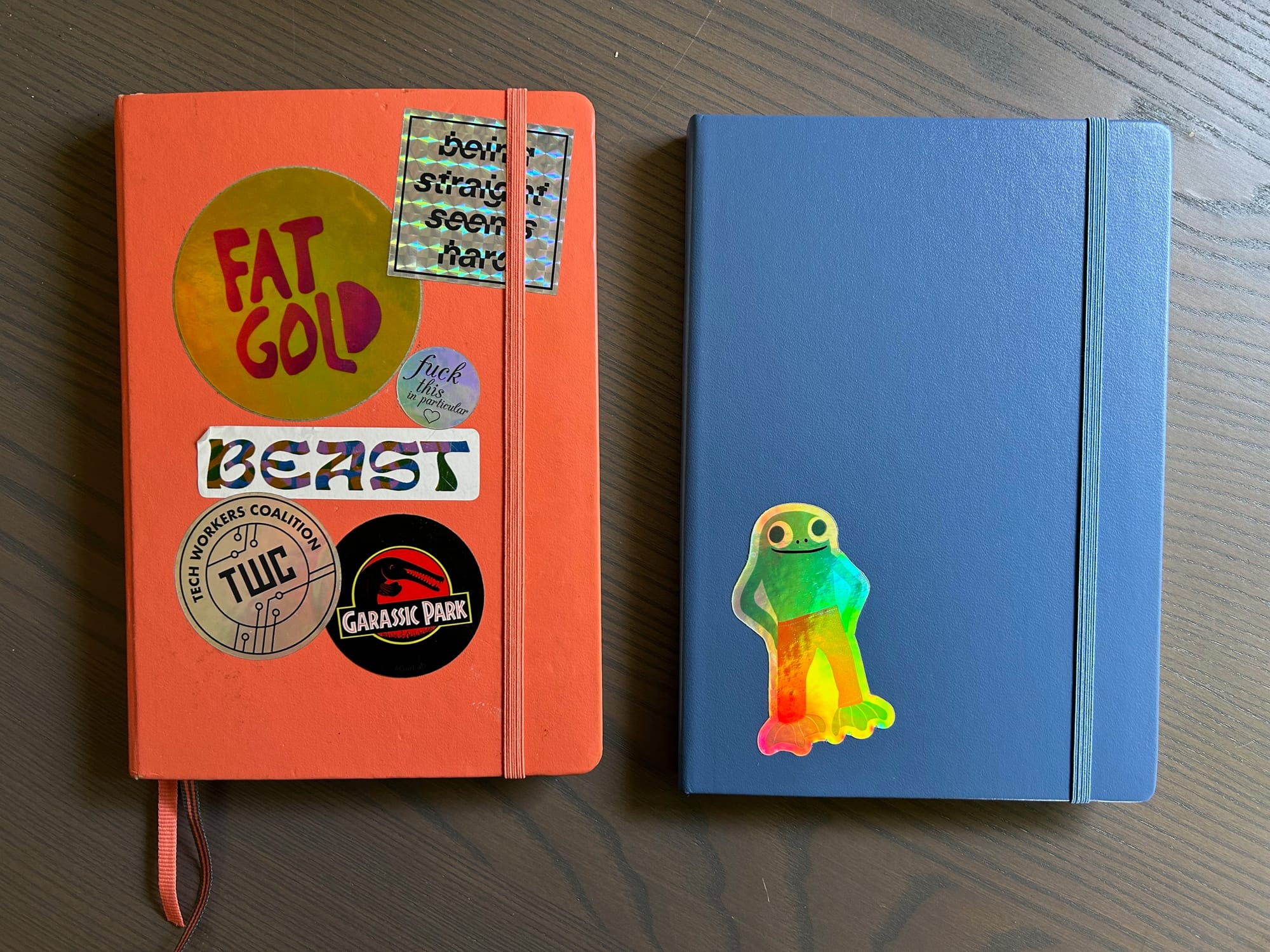 two notebooks, on the left an orange notebook covered in stickers that say things like "being straight seems hard" and "Garassic Park" on the right a blue notebook that has one sticker of a happy frog on it