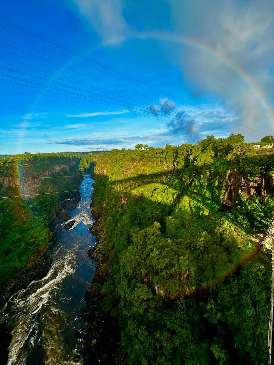A bright green forest and a long river, with a fully circular rainbow suspended in the air above it.