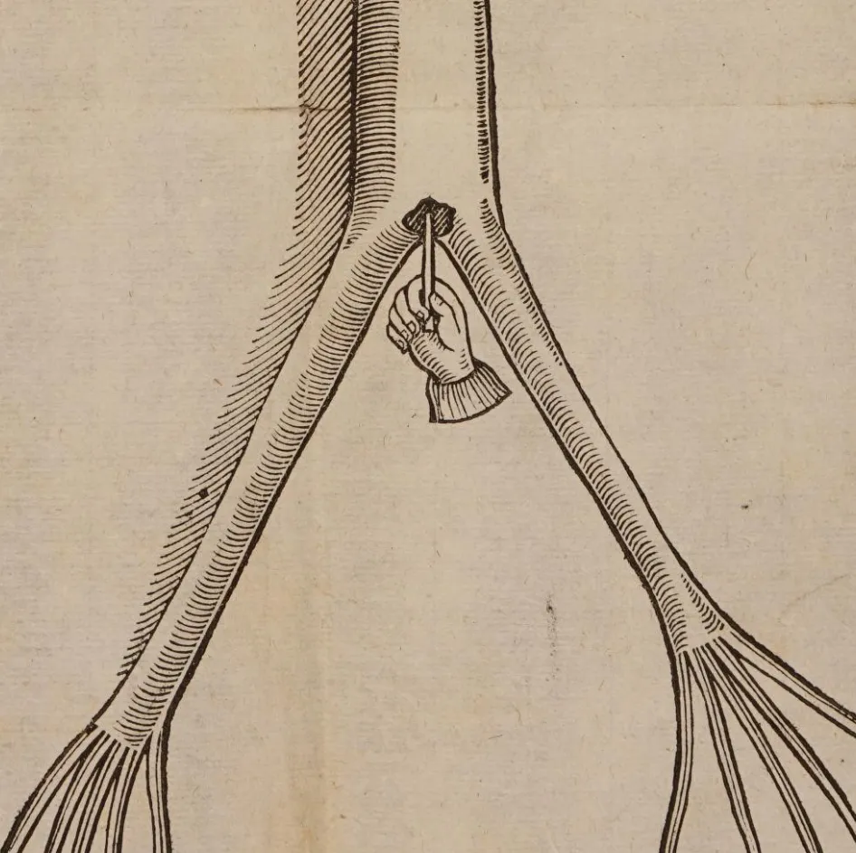 INTRODUCING: CARDIAC SERPENT