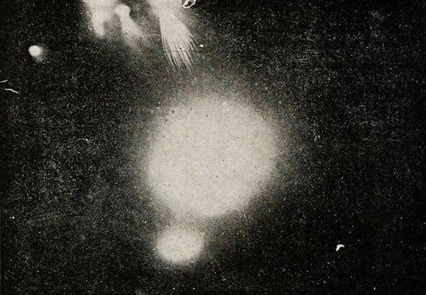 an abstract black and white blob image