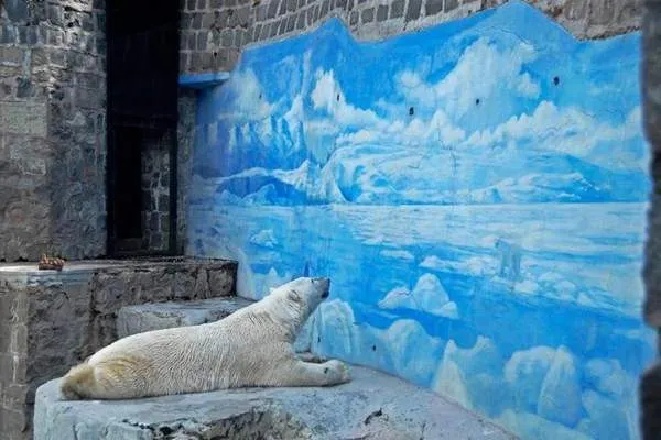 a polar bear looking at a painted backdrop