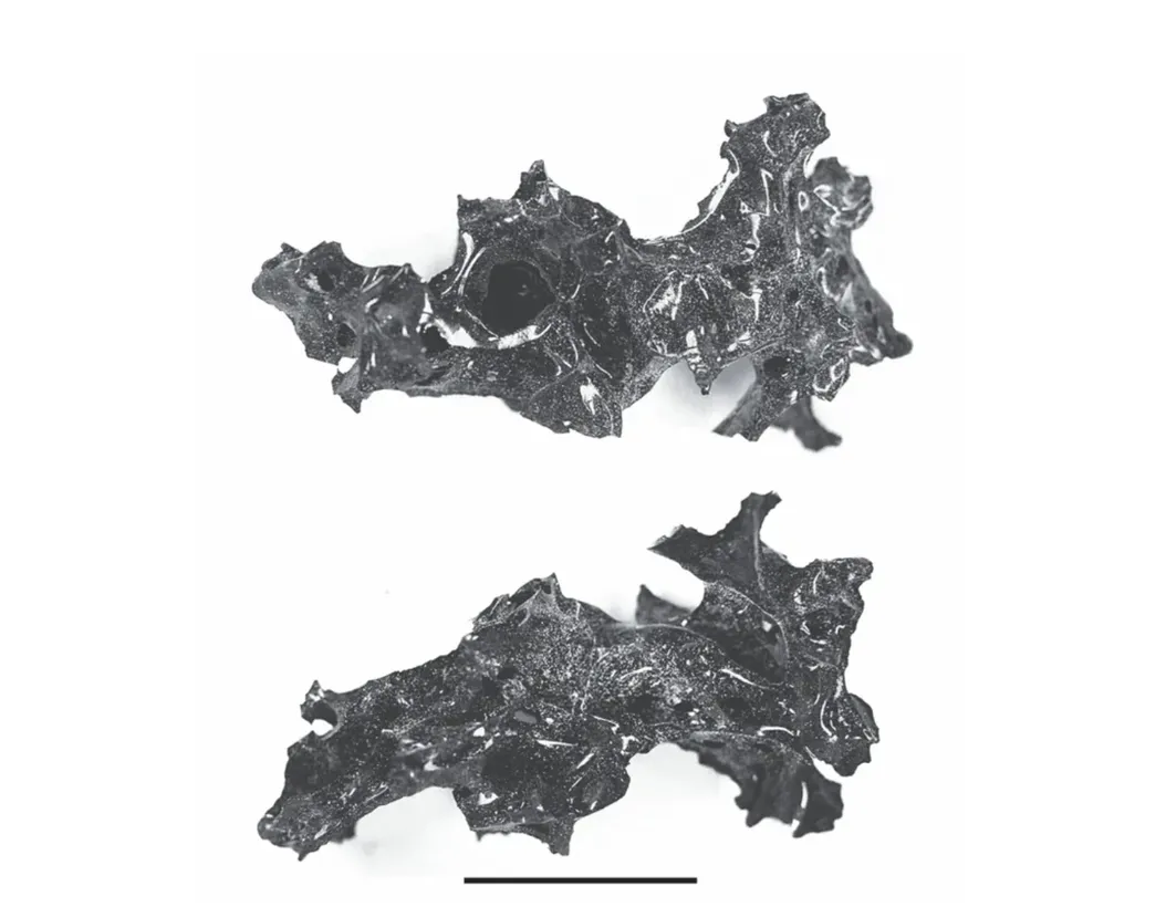 〰️ 02〰️ in 〰️ out 〰️