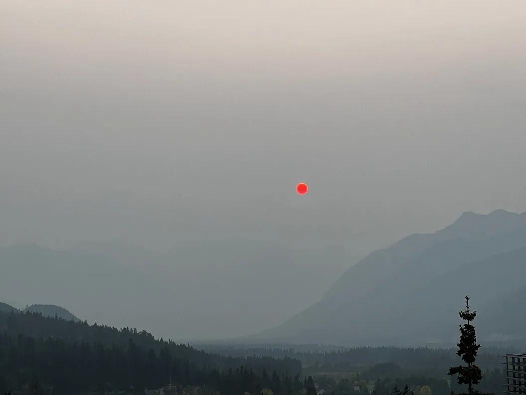 〰️ 09 〰️ in 〰️ out 〰️